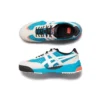 Delegation EX ”White Blue”